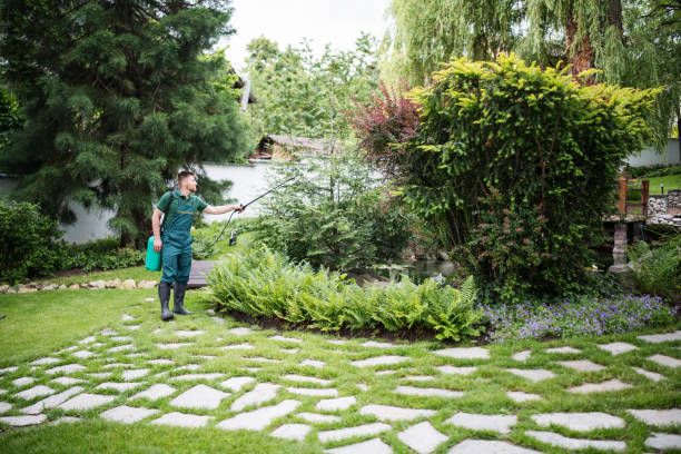 Best Organic Lawn Care Solutions  in Morehead, KY